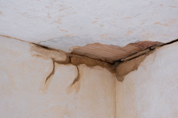 Trusted Portsmouth, VA Water damage restoration Experts