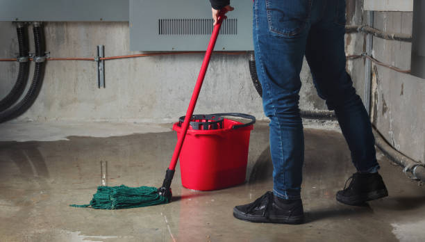 Water damage restoration mold remediation in Portsmouth, VA