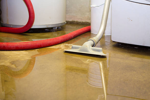 Best Ceiling water damage repair  in Portsmouth, VA