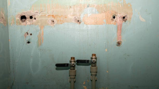 Best Local water damage restoration  in Portsmouth, VA