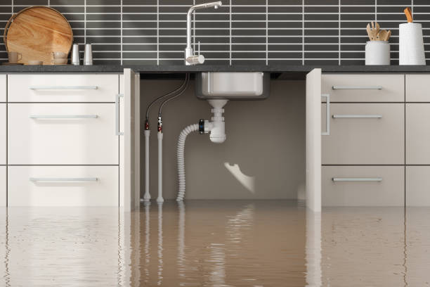 Water damage restoration insurance claims in Portsmouth, VA