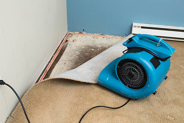 Reliable Portsmouth, VA Water damage restoration Solutions